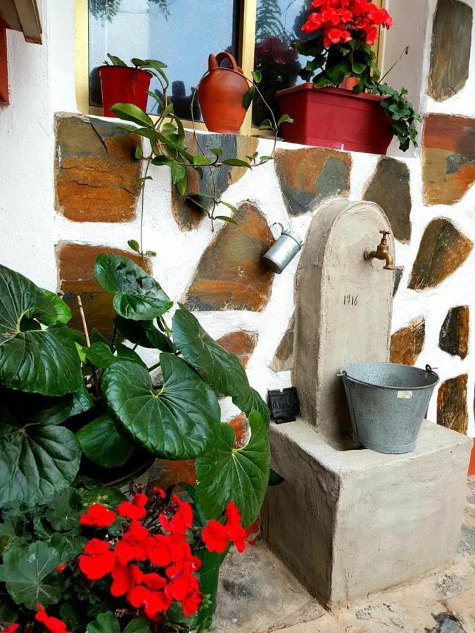 Vivienda Vacacional Ca Na Paula La Orotava Kültér fotó