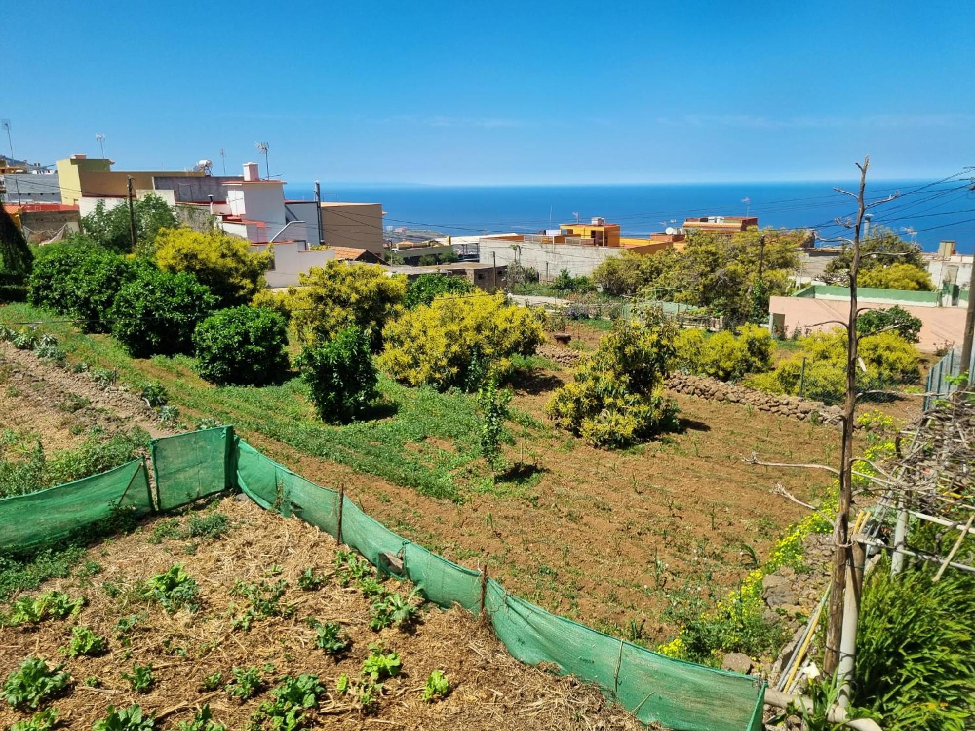 Vivienda Vacacional Ca Na Paula La Orotava Kültér fotó