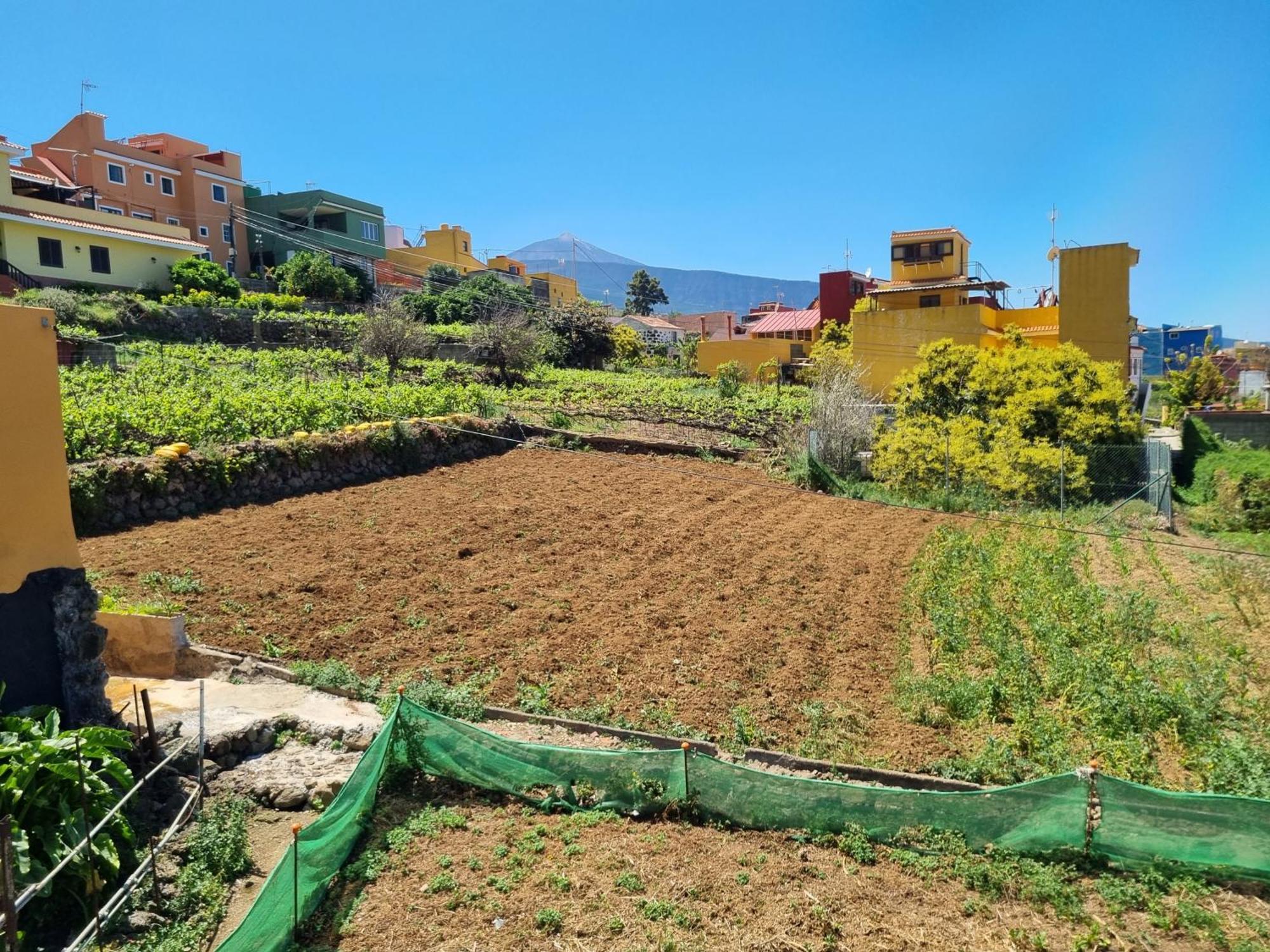 Vivienda Vacacional Ca Na Paula La Orotava Kültér fotó