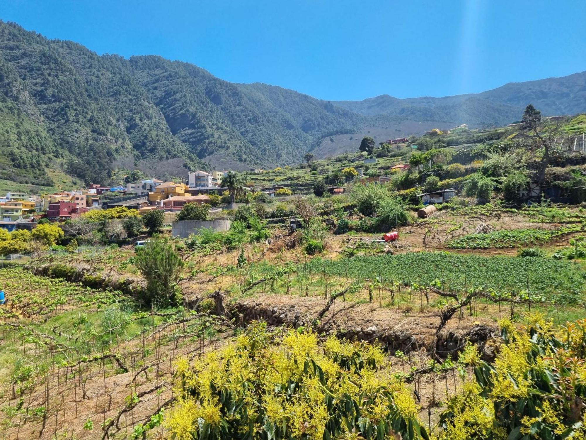 Vivienda Vacacional Ca Na Paula La Orotava Kültér fotó